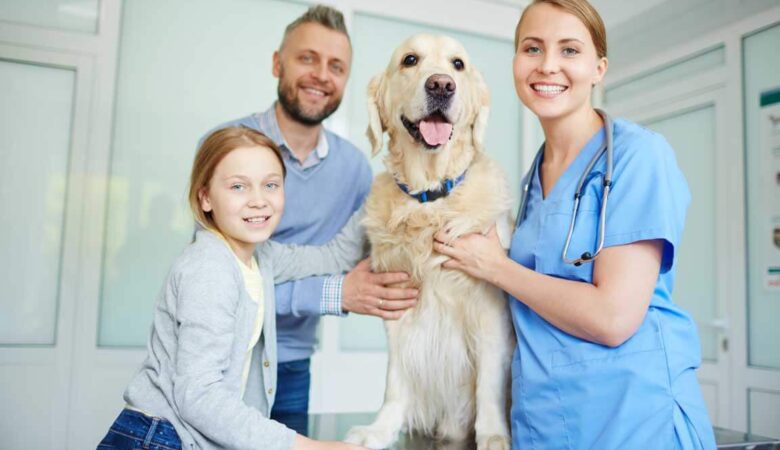 Veterinário